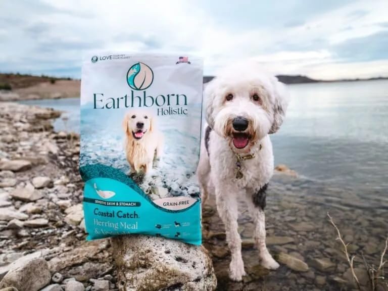Earthborn Holistic Coastal Catch Herring Meal & Vegetables Grain-Free Dry Dog Food 4 lb