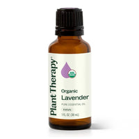Thumbnail for Plant Therapy Organic Lavender Essential Oil 100% Pure, USDA Certified Organic, Undiluted, Natural Aromatherapy for Diffusion & Topical Use, For Skin, Hair, Relaxation, Premium Therapeutic Grade 30 mL
