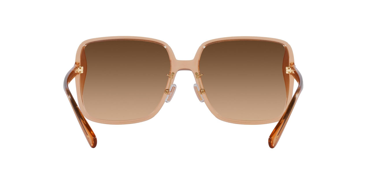Coach HC8368D Sunglasses, Transparent Brown/Brown Gradient, 61 mm