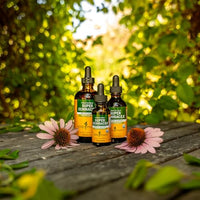 Thumbnail for Herb Pharm Super Echinacea® Liquid Extract: USDA Organic Immune Support for Year-Round | Fast-Absorbing Echinacea Tincture, 4 Plant-Part Blend: Root, Leaf, Flower & Seed | Up to ~6 Week Supply, 2 oz*