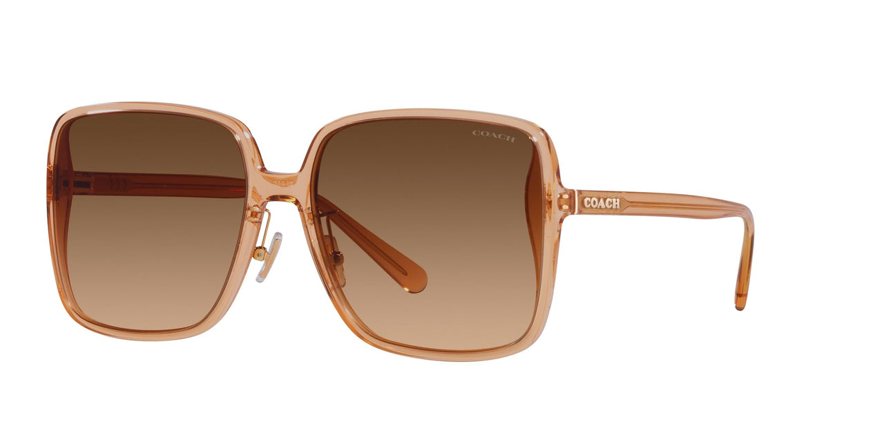 Coach HC8368D Sunglasses, Transparent Brown/Brown Gradient, 61 mm