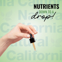 Thumbnail for Wild Oregano Oil 1oz Bottle - California Natural - Immune System & Digestive Support - Promote Gut Health & Healthy Digestion - 100% Vegetarian - 70% Carvacrol - Herbal Supplement - 1oz