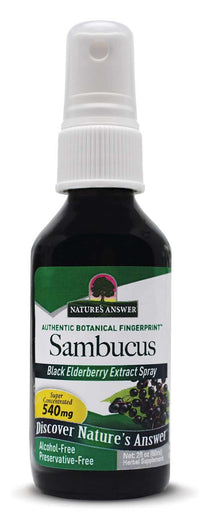 Thumbnail for Nature's Answer Alcohol-Free Sambucus Extract Spray, 2-Ounces | Immune System Support | Vegan, Gluten-Free, No Artificial Flavors or Preservatives | Single Count