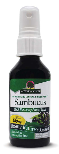 Nature's Answer Alcohol-Free Sambucus Extract Spray, 2-Ounces | Immune System Support | Vegan, Gluten-Free, No Artificial Flavors or Preservatives | Single Count