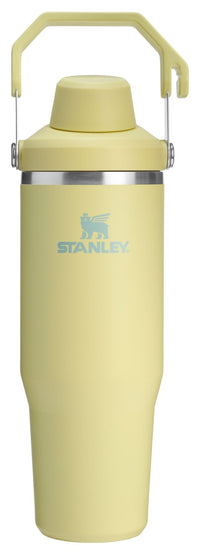 Thumbnail for Stanley IceFlow 2.0 Fast Flow Tumbler with Handle 30 oz | Twist On Angled Spout Lid | Leakproof Water Bottle | Insulated Stainless Steel | BPA-Free | Pomelo