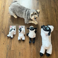 Thumbnail for SPOT Baa Baa Black Sheep Plush Dog Toy - Cute and Cuddly Fleece Toy with Squeaker for Small Dogs and Puppies, 8in Black and White Lamb