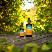 Thumbnail for Herb Pharm Stinging Nettle Blend Liquid Extract - 1 Ounce (DNETT01)