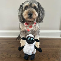 Thumbnail for SPOT Baa Baa Black Sheep Plush Dog Toy - Cute and Cuddly Fleece Toy with Squeaker for Medium to Large Dogs and Puppies, 13in Black and White Lamb