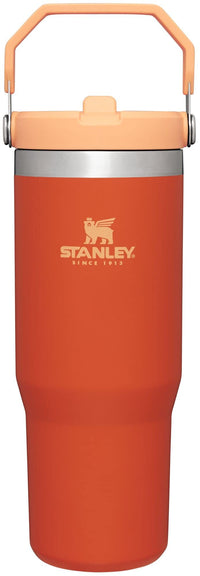 Thumbnail for Stanley IceFlow Stainless Steel Tumbler with Straw - Vacuum Insulated Water Bottle for Home, Office or Car Reusable Cup with Straw Leak Resistant Flip Cold for 12 Hours or Iced for 2 Days (Tigerlily)