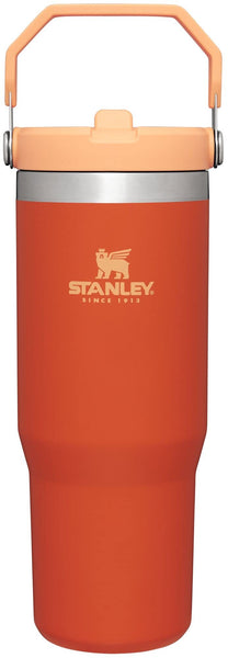 STANLEY IceFlow Flip Straw Tumbler with Handle 30 oz | Twist On Lid and Flip Up Straw | Leak Resistant Water Bottle | Insulated Stainless Steel |BPA-Free | Tigerlily