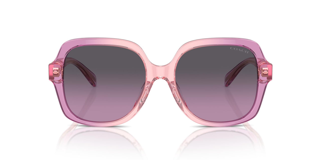 COACH Sunglasses HC 8395 F 581390 Cr962 Amethyst/Pink Gradient