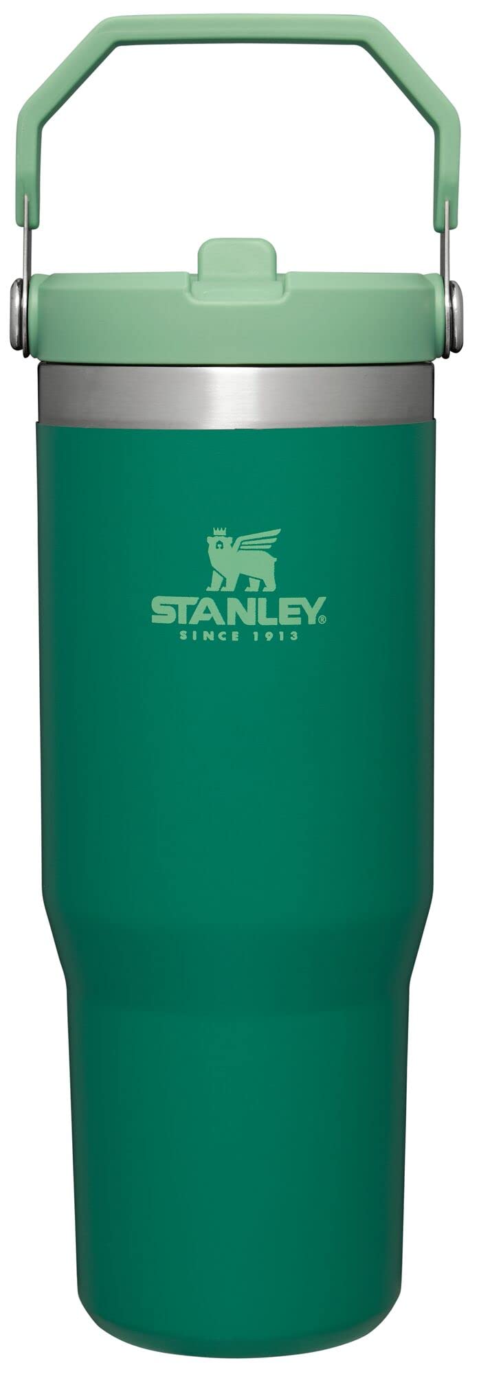 Stanley IceFlow Flip Straw Tumbler with Handle 30 oz | Twist On Lid and Flip Up Straw | Leak Resistant Water Bottle | Insulated Stainless Steel |BPA-Free | Alpine