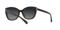 Thumbnail for Coach Sunglasses HC 8365 U 5764T3 Ch566 Black/Dark Tortoise Gr