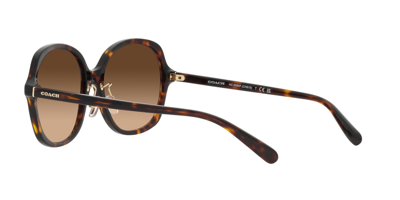 COACH HC8360F Low Bridge Fit Sunglasses, Dark Tortoise/Brown Gradient, 58 mm
