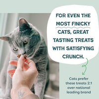 Thumbnail for Shameless Pets Crunchy Cat Snacks & Treats – Healthy Cat Treats for Indoor Cats & Kittens with Catnip, Real Chicken & Digestive Support, Catnip N Chill (2.5 oz)