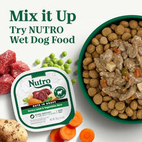Thumbnail for Nutro Natural Choice Small Bites Dry Dog Food, Adult Dog Food Dry Lamb & Brown Rice Recipe, 5 lbs.