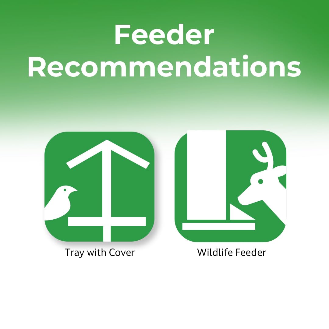 Lyric Wildlife Critter Food for Deer, Squirrels, Turkeys & Rabbits, Wild Bird Seed for Outside Feeders, 10 lb Bag
