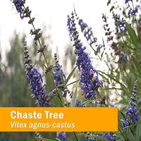 Thumbnail for Herb Pharm Chaste Tree Liquid Extract for Female Reproductive System Support - 1 Ounce (DCHASTE01)