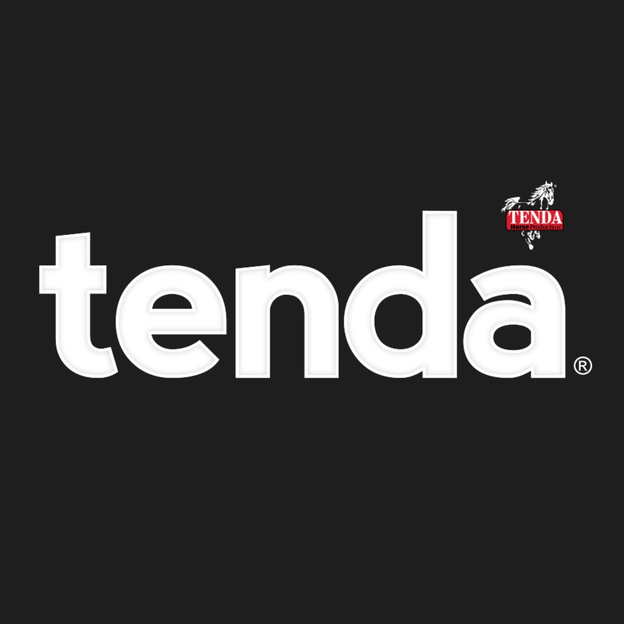 Tenda Energy & Recovery Paste - Fast Finish - A Test Free Pre-Race Paste That is A Superior Source of Energy for The Equine Athlete