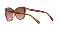Thumbnail for Coach HC8365U Universal Fit Sunglasses, Tortoise/Transparent Pink/Brown Pink Gradient, 55 mm