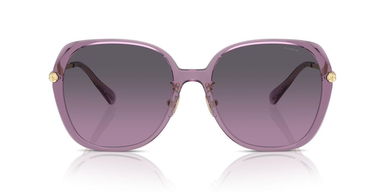 COACH Sunglasses HC 8403 D 582590 Cr636 Transparent Purple Grey