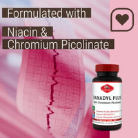 Thumbnail for Olympian Labs Vanadyl Plus Formulated with Chromium Picolinate and Niacin 100 Capsules