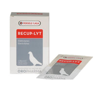 Thumbnail for Versele-Laga Recup-Lyt 240gr (electrolyte blend)