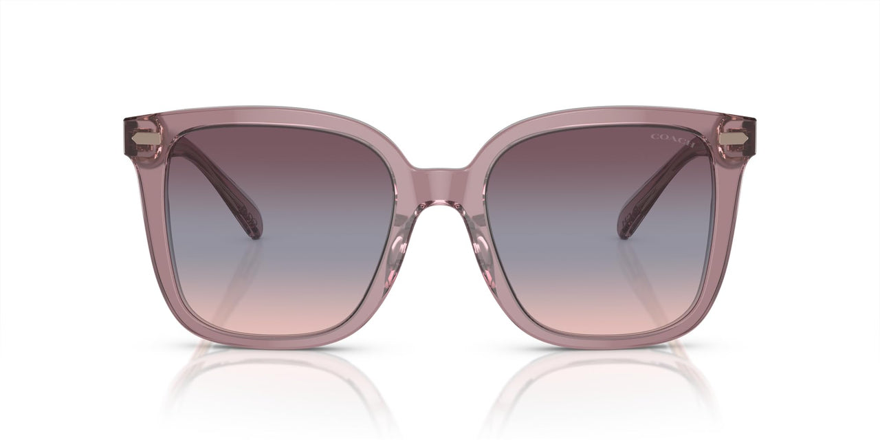 Coach HC8381U Universal Fit Sunglasses, Transparent Rose/Blush/Purple Blue Peach Gradient, 54 mm