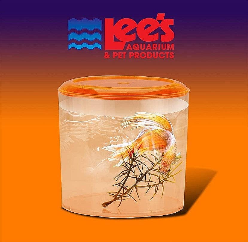 Lee's Round Betta Keeper