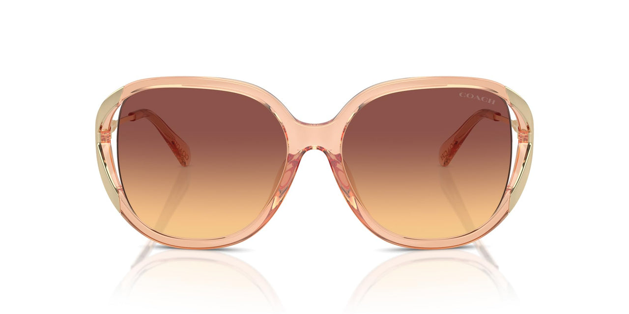 COACH Sunglasses HC 8396 U 556178 Cr620 Transparent Champagne Ma