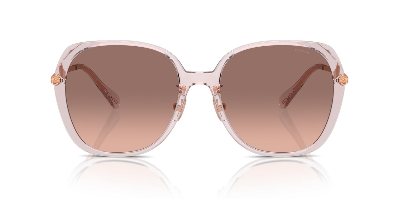 COACH Sunglasses HC 8403 D 570513 Cr636 Transparent Rose Brown P