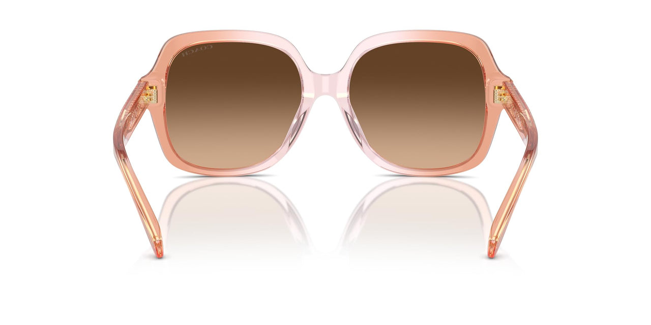 COACH Sunglasses HC 8395 F 581274 Cr962 Saddle/Dusty Rose Grad