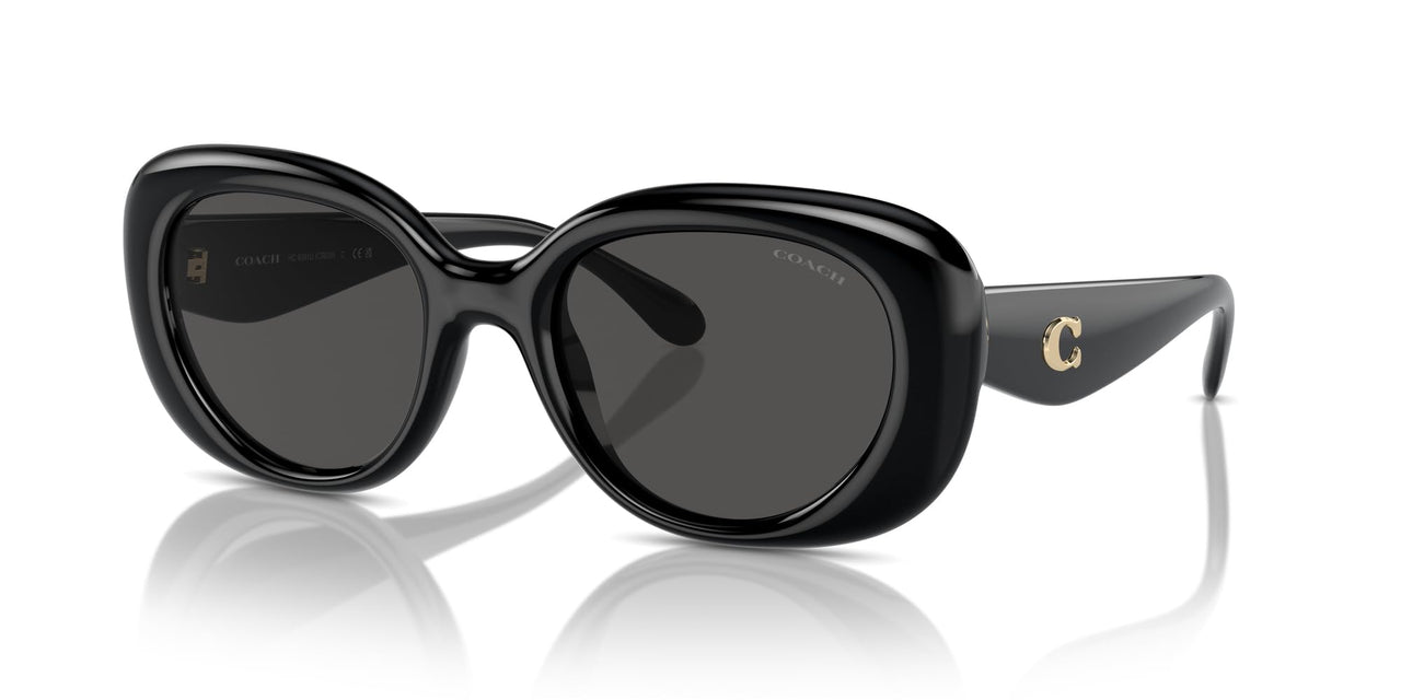 COACH Sunglasses HC 8391 U 500287 Cr609 Black Grey Solid
