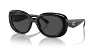 Thumbnail for COACH Sunglasses HC 8391 U 500287 Cr609 Black Grey Solid