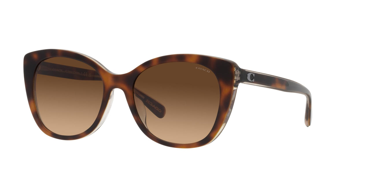 COACH Sunglasses HC 8365 U 574274 Ch566 Tortoise/Transparent B