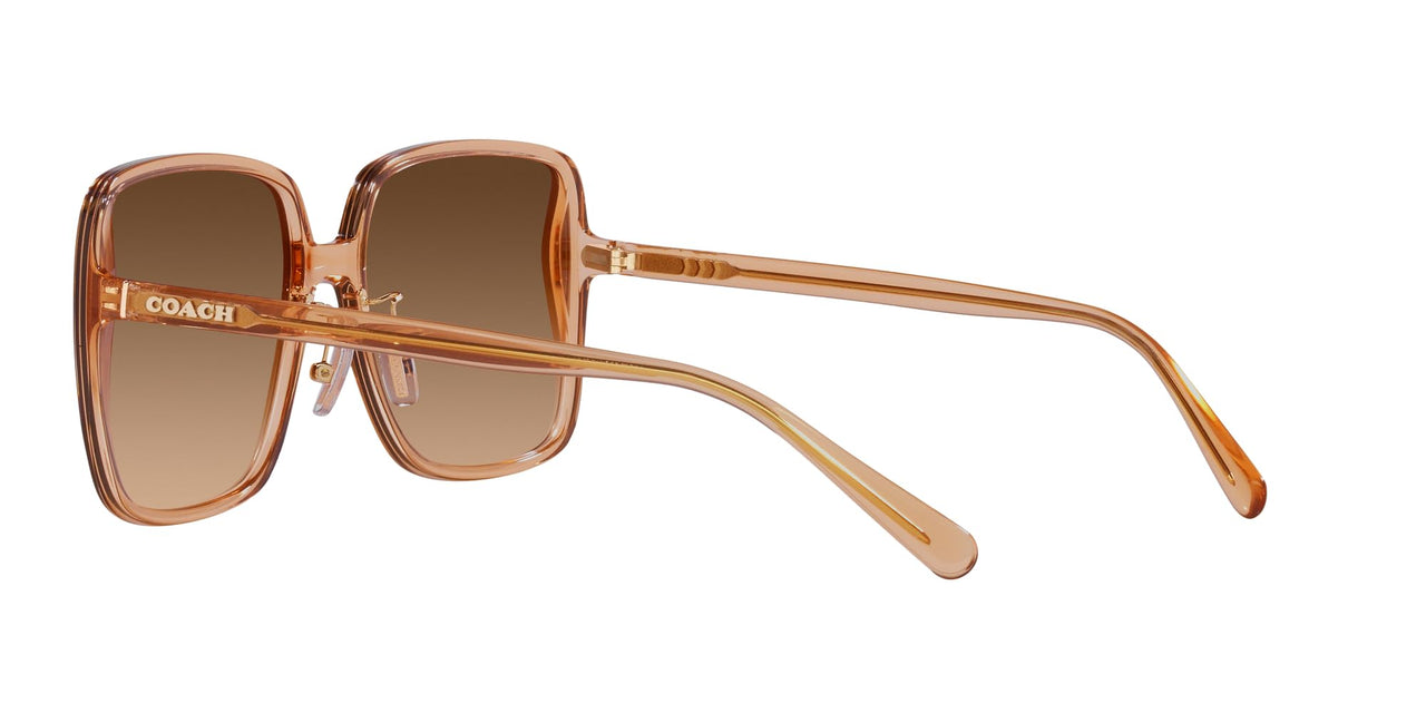 Coach HC8368D Sunglasses, Transparent Brown/Brown Gradient, 61 mm