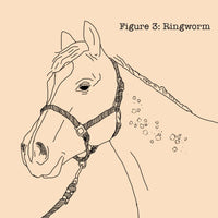 Thumbnail for Absorbine Fungasol Sprayer, Treats Horse Skin Conditions, 22oz