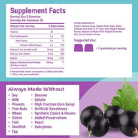 Thumbnail for Hyland's Organic Elderberry Plus Gummies, Organic Black Elderberry with ZINC and Vitamin C, Immune Support Supplement for Adults, 60 Vegan Gummies (30 Days)