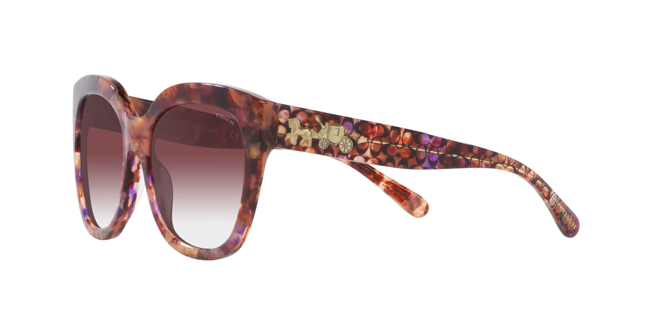 Coach HC8264 Sunglasses, Petal Tortoise/Purple Clear Gradient, 56 mm