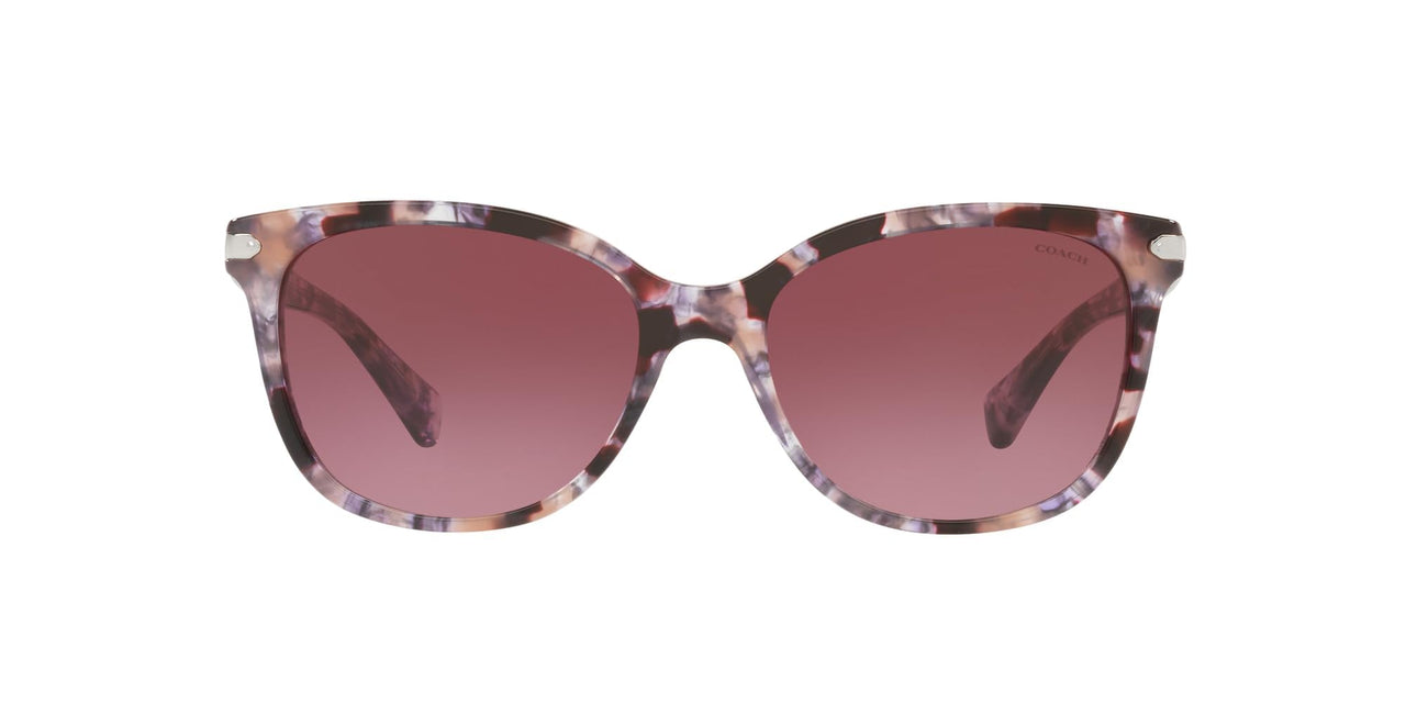 Coach HC8132 Sunglasses, Purple Tortoise/Burgundy Gradient, 57 mm