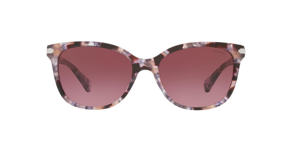 Coach HC8132 Sunglasses, Purple Tortoise/Burgundy Gradient, 57 mm