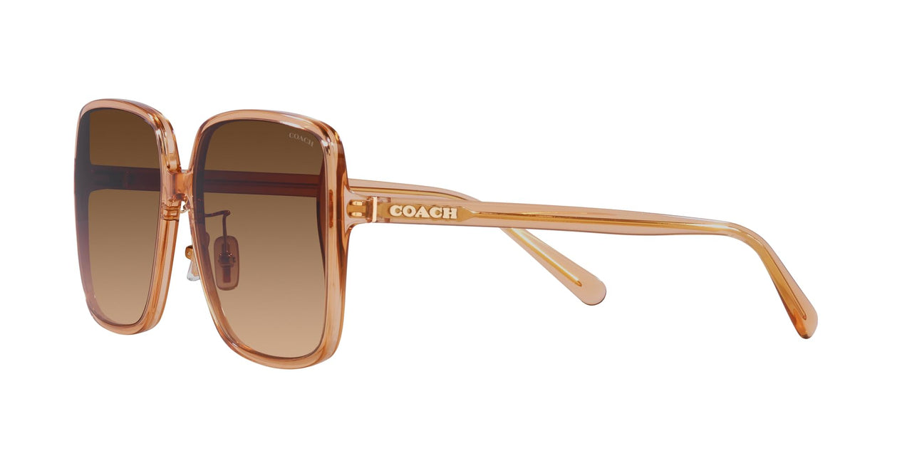 Coach HC8368D Sunglasses, Transparent Brown/Brown Gradient, 61 mm