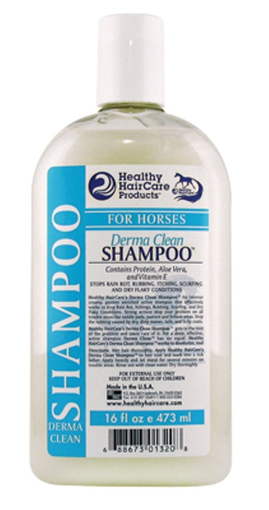 DERMA CLEAN SHAMPOO PT HSD16