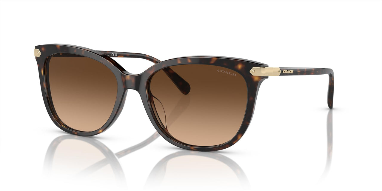 Coach HC8378U Universal Fit Sunglasses, Dark Tortoise/Brown Gradient, 57 mm