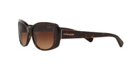 Thumbnail for Coach HC8168 Sunglasses, Dark Tortoise/Brown Gradient, 56 mm