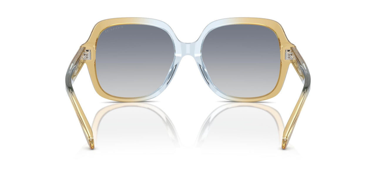 COACH HC8395F Low Bridge Fit Sunglasses, Cider/Baby Blue/Blue Gradient, 56 mm