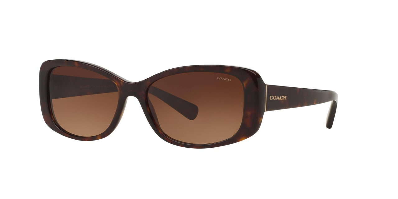 Coach HC8168 Sunglasses, Dark Tortoise/Brown Gradient, 56 mm