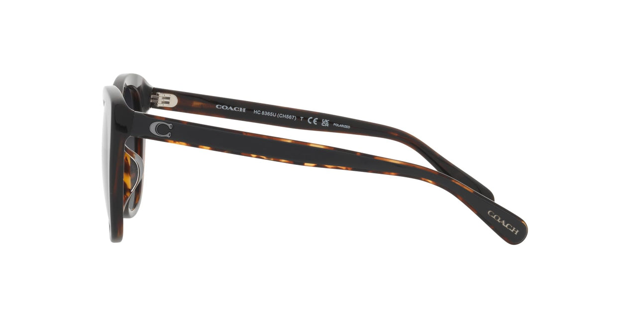 Coach Sunglasses HC 8365 U 5764T3 Ch566 Black/Dark Tortoise Gr