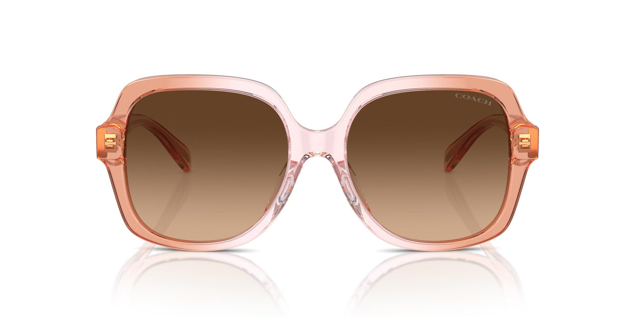 COACH Sunglasses HC 8395 F 581274 Cr962 Saddle/Dusty Rose Grad