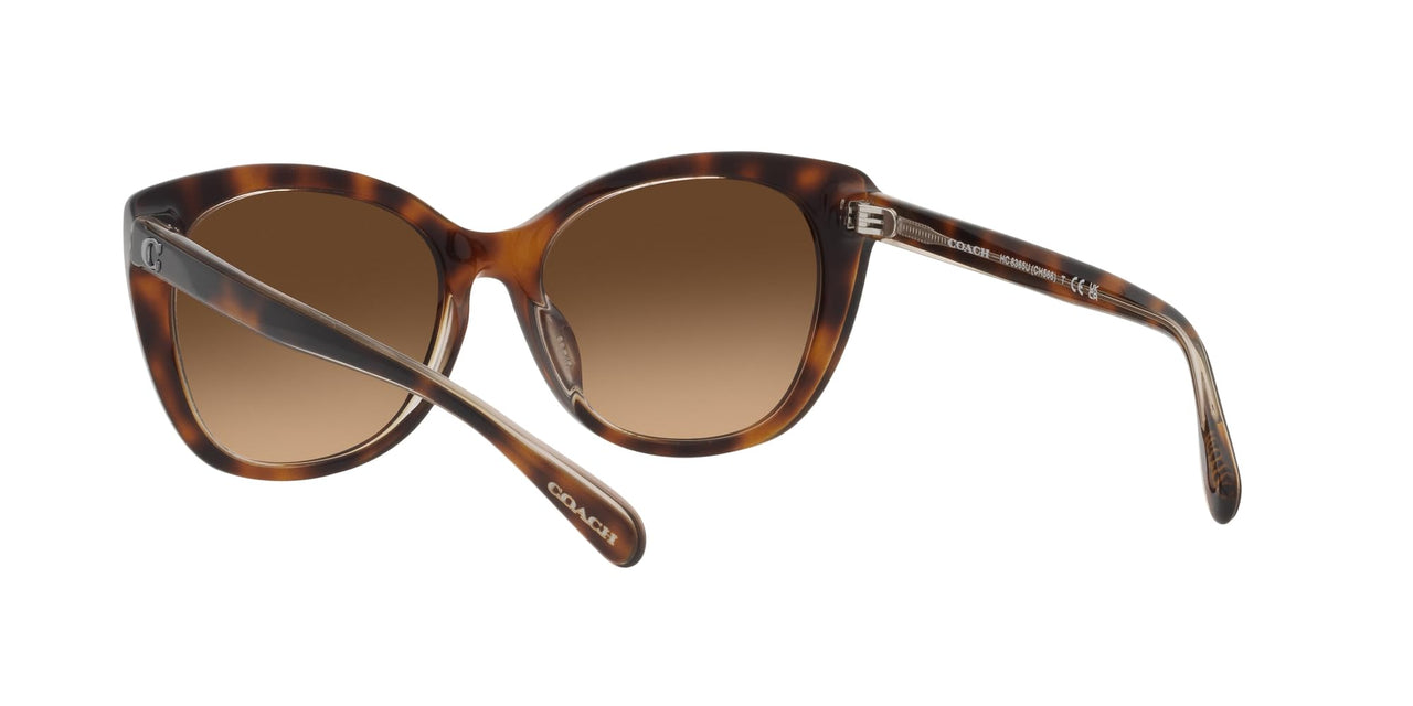 COACH Sunglasses HC 8365 U 574274 Ch566 Tortoise/Transparent B